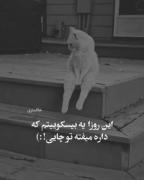 ................ᴜɴᴛɪᴛʟᴇᴅ................