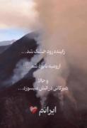 اندوه ایران: وقتی جنگل های هیرکانی در آتش می‌سوزد