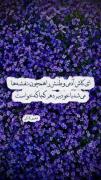 دکلمه شعر زیبای «ای کاش آدمی وطنش را» از شفیعی کدکنی درباره وطن