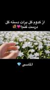 کدوم گل رو برات بچینم؟! برام بنویس 😉🤌🏻😀