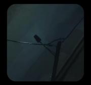 بچه بگو بازم غلط کردی…🚶🏻‍♀️ 💤