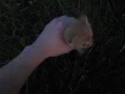 پیشی دوستا دستا بالا🤚🏻...... 