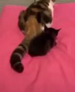 😐💔‌‌‌‌‌‌‌‌‌‌‌‌‌‌‌‌‌‌‌‌‌‌‌‌‌‌