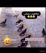 واقعیت محض..‌‌‌‌‌.‌.‌‌‌‌‌‌‌‌‌‌‌‌