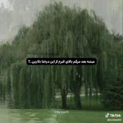 اگه مردم بالا قبرم از این درخت ها بزارید)