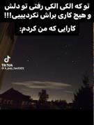 ولی من همه ی تلاشمو کردم .