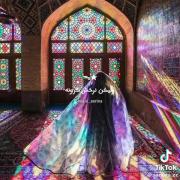 منم شیرازیم. شیرازیا کجایید؟ 