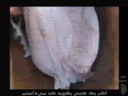 هی رفیق واسه اینجا اماده ای؟‌‌