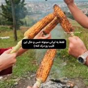 حس و حال زیبای ایرانی: سفری به نوستالژی و فرهنگ غنی ایران