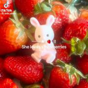 وایب توت فرنگییی؛)))))))))))))