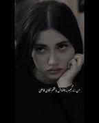 ...............................