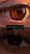 مقایسه چشمان قهوه‌ای و مشکی در قاب مناظر دلنشین طبیعت