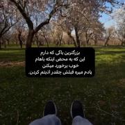 بهار و تأملی بر فراموشی گذشته
