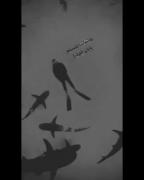 به تماشا نشستم ...... بدون تو هرگز بعد تو هیچ کس