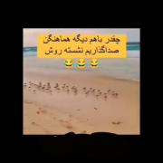 نتیجه ی دوبله ی عالی و وقت مناسب میشه این😂🤣🤣🤣