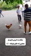 ما پسرا دروغ نمیگفتیم به دخترا که خروس دارم فوتبال بازی میکنه :
