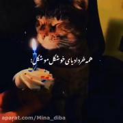(درخواستی) تبریک تولد خردادیااا💗