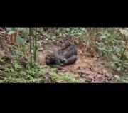 موقعیت: وقتی داداشت کاری می‌کنه که می‌دونه بدت میاد