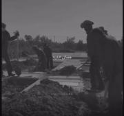 آخر دنیا کجاست؟ تأملی بر مرگ و فراموشی