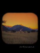 ولی ی روز میرم`. دیگه نمیام...🖤✨