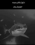 با،پول،باباش،رسیده...[همچنان،من✓]