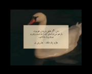 ``حتّی،اگه،عشق،خریدنی،بود...``