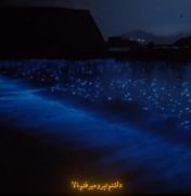 [فاصِلَم،تا،مَرگ،یِ،اِشارَس...🖤🤌🏼]