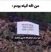 [|``من‌اگه‌گیاه‌بودم...🌚🌱``|]
