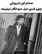 صدام کن داریوش ``چون`` کسی حرف منُ انگار نمیفهمه...💤🖤👨🏽‍🦯