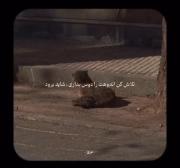 تنهایی گربه: لحظه‌ای آرام و تأمل‌برانگیز از زندگی