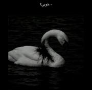 قوی زخمی: تضاد میان درد پنهان و پاسخ «عالیم :)»