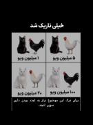دوستان طبیعیه نفهمیدم🤔یکی توضیح بده😂