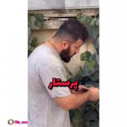 بیا بوسش کنم خوب بشه‌‌‌‌‌‌‌‌‌‌