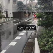 باران: ویدئویی برای آرامش اعصاب