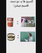 کنسروها و انواع آدم‌ها: شوخی طنزآمیز!