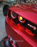 دوج‌‌باشهعهههههه💣💣💣‌‌‌‌‌‌‌‌‌