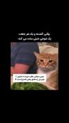 .وقتی گرسنته😂 ‌