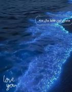امواج شب‌تاب دریا: حس عاشقانه و دلتنگی