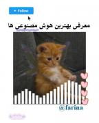 معرفی هوش مصنوعی ها، کپشن حتما چک شه