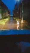 حرکات بامزه اردک در کوچه بارانی شبانه