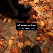 پاییز دلنشین: تصاویری از حس و حال پاییزی بدون دغدغه مدرسه