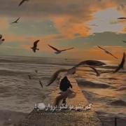 غروب دلتنگی: پرنده‌ای که رفت، برای رسیدن بود یا رفتن؟