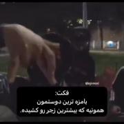 بامزه ترین رفیقا‌ سخت ترین زندگی رو داشتن👌🥲💔