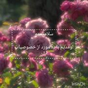 ... شخصیت آبان ماهی ها..........