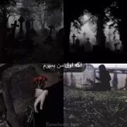 استوری عاشقانه طنز باحال . ‌.