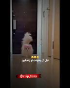.......😂‌❤‌‌‌‌‌‌‌‌‌‌‌‌‌‌‌‌‌‌‌