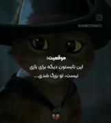 ...............................