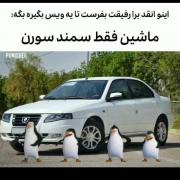 ............................... 