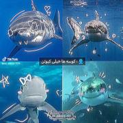 ،،،،،،،،،،،،،،،،،،،،،،،،،،،،،،، 