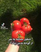 ،،،،،،،،،،،،،،،،،،،،،،،،،،،،،،،، 